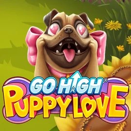 game logo by RubyPlay on spin-macho.eu.com